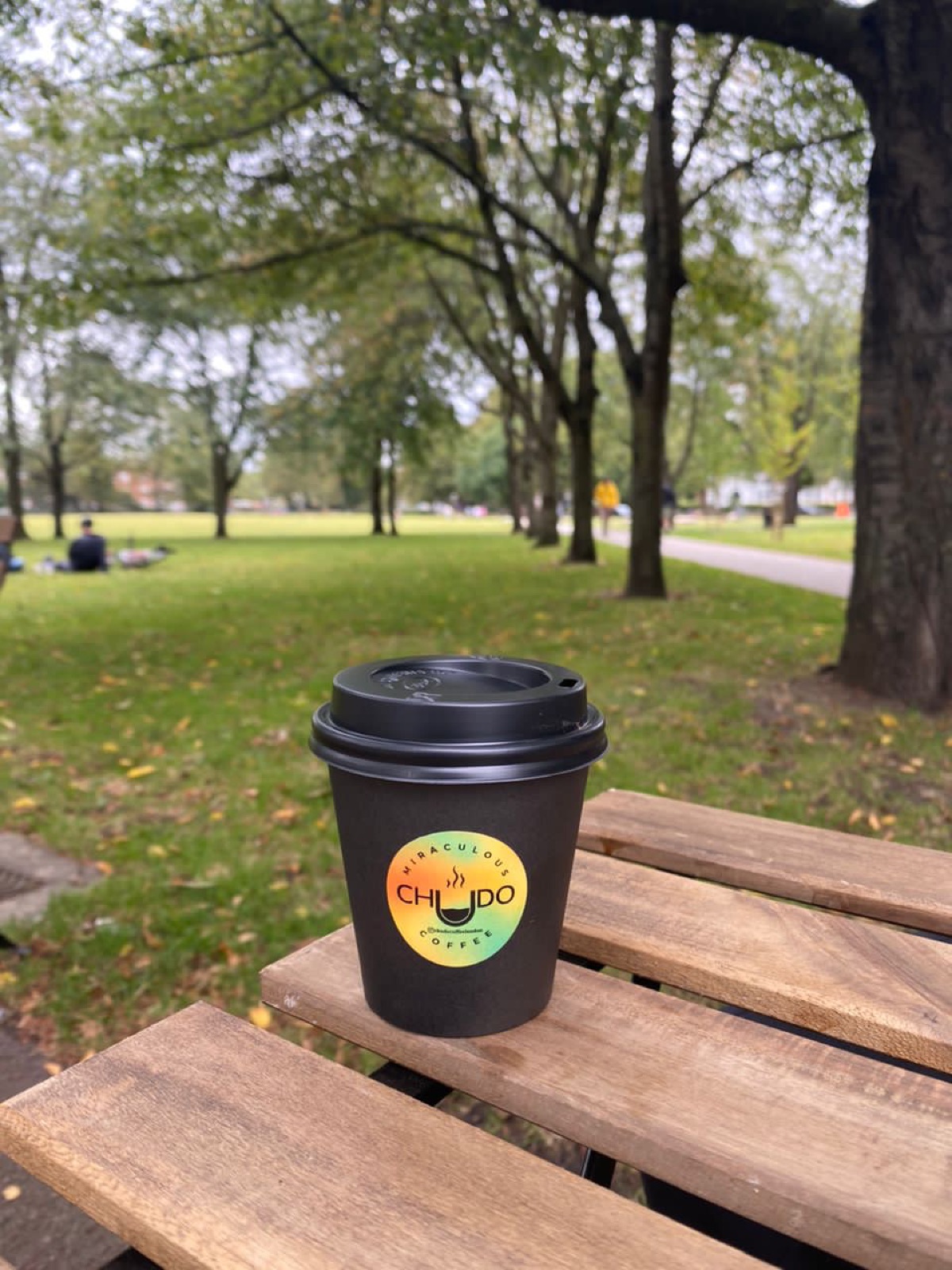 A black takeaway cup resting on a park bench